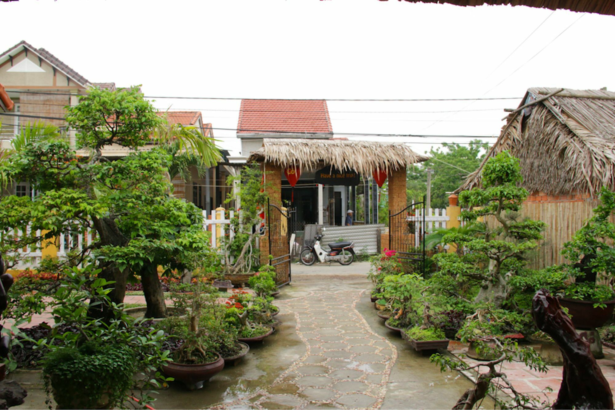 The Grass Vy Apartment Hoi An Exterior photo